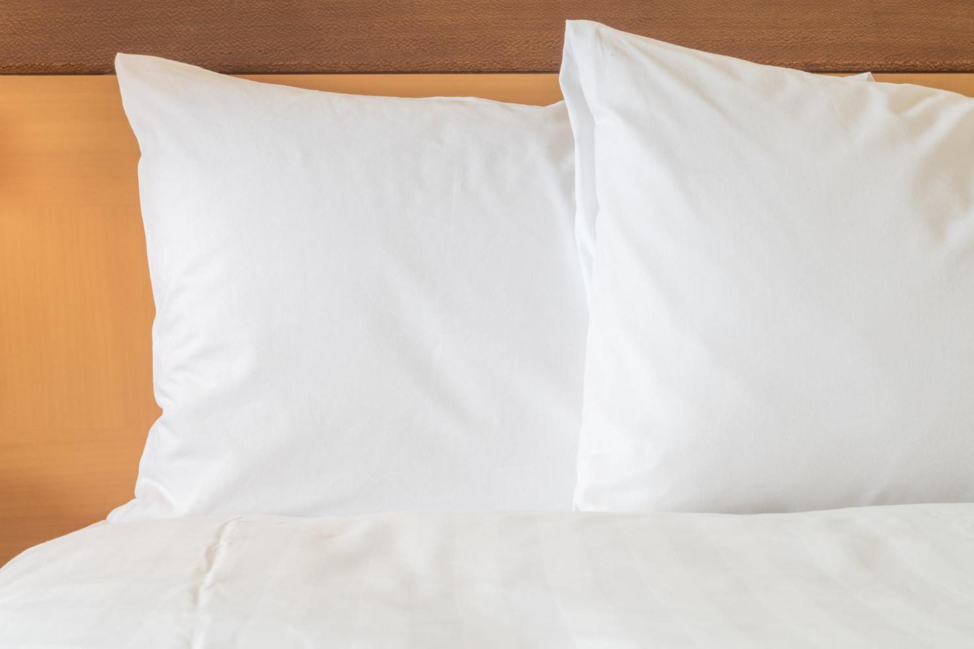 Hotel Downtown - Stadium By Ihg Nashville